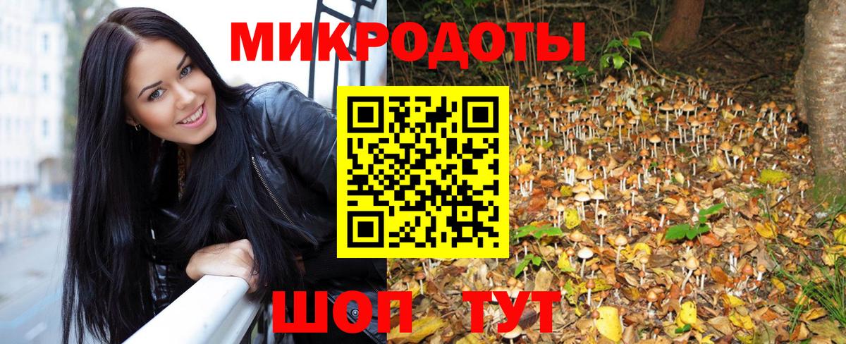 Галлюциногенные грибы прущие грибы  Псилоцибиновые грибы MAGIC MUSHROOMS  Ачхой-Мартан  Вход с VPN 